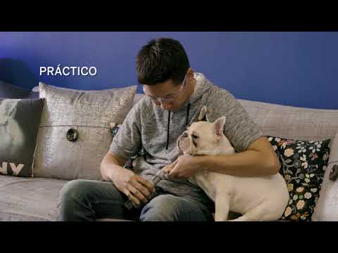 Introducción al limador de uñas para mascotas