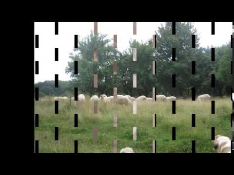 Nicolae Andrei prof poet Prilipet,Caras=Severin