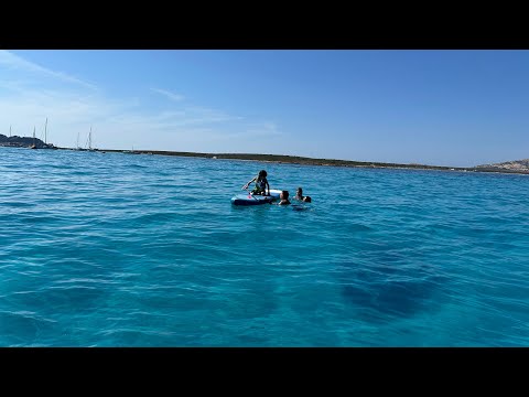 サッサリ大学 - 定義