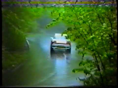 Rally Zlatni 1993