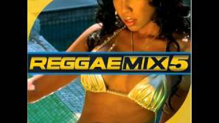 old school reggae gold riddim mix dj mayday