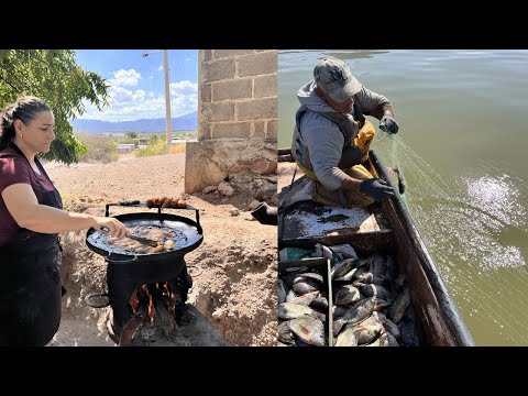 Como Hacer Pescado Capeado al Disco - Estilo Sonora (Capeado para Pescados y Mariscos)