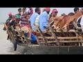 India Bangladesh The Traps Of The Brahmaputra