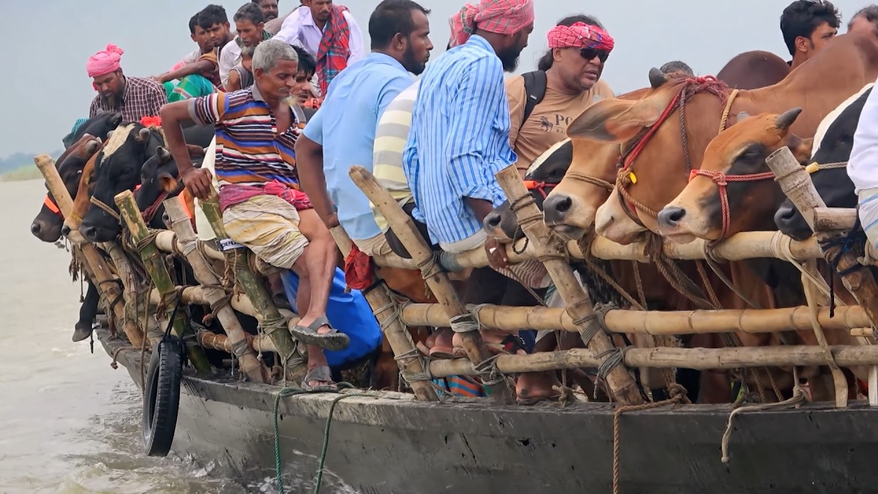 India/Bangladesh: The Traps of the Brahmaputra