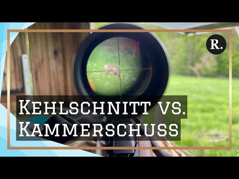 German Hunting Practice and Islam | Part 1/2 | Look and marvel! [English Sub]