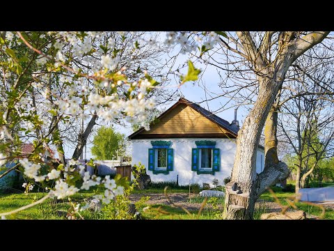 Romantic village atmosphere - rural sounds for stress relief, for background.