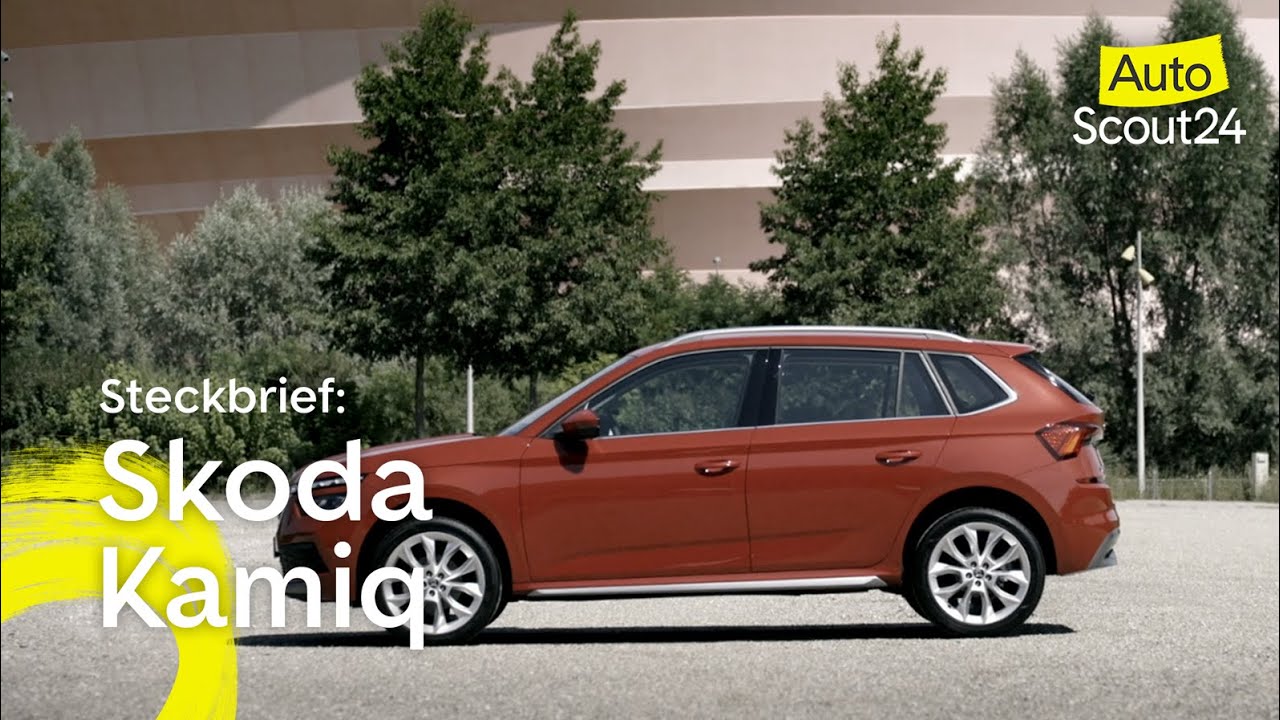 Video - Skoda Kamiq Steckbrief