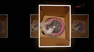 Video thumbnail for Cerwin Vega XLS-15 3-Way Audio Speaker Review by Audio Fan Club