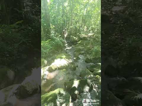 paludi.4.6 sempre na ativa.. jucuruçu Bahia
