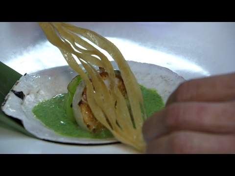 How do you cook shrimp dumplings with pan seared scallops?