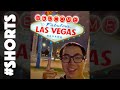DON T DO THIS IN VEGAS Shorts