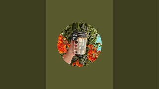 Download lagu Lyly Family Cuộc Sống Florida 🇺🇸 is live! mp3 Download lagu Lyly Family Cuộc Sống Florida 🇺🇸 is live! mp3