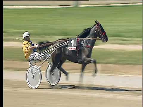 Trotto 20/04/2018 - 2ª corsa