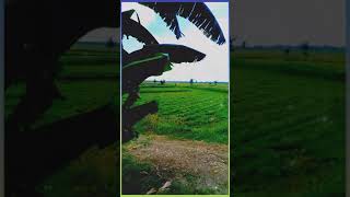 Download lagu STORY WA 'DELIMA' ( Jotha Rg feat Yulia Citra ).  https://youtu.be/uDdupYNlmp4 mp3