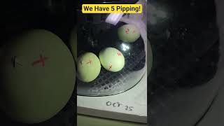 These Baby Chicks Want Out! 5 Are Pipping So Far!  #chicken #fun #baby #hatching #life #hatching