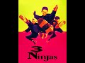 3 Ninja Kids 1992 German