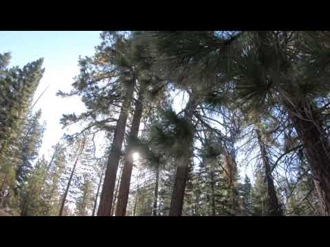 Mount Pinos Nordic Base Trail | Adventure Me This