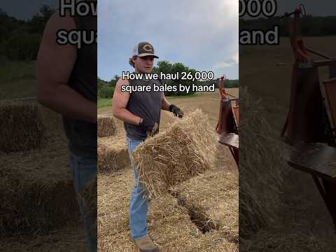 26,000 square bales by hand! #farming #farmer #farm