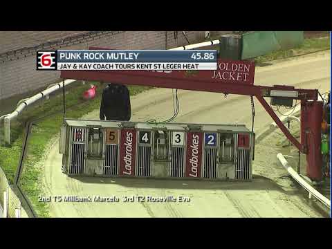 2020 KENT ST LEGER - HEAT 5 - T6 PUNK ROCK MUTLEY