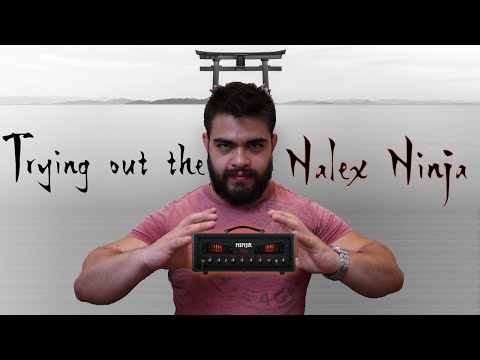Nalex Ninja amp plugin (Free!) || How does it sound in a mix? || Trying both Gain and Clean channel!