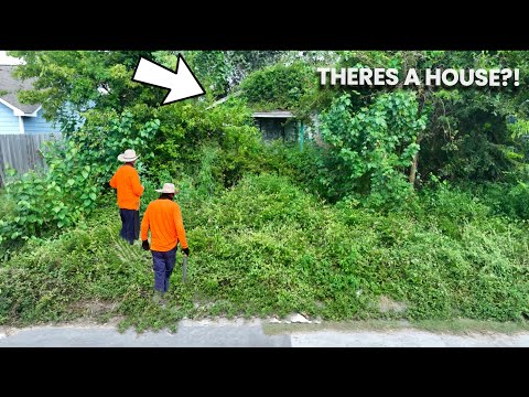 FORGOTTEN House and Sidewalk DISCOVERED BEHIND this JUNGLE of a YARD