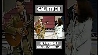 Gal Costa Vive!!! #shorts
