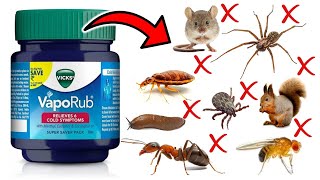 How To Get Rid of Household Pests with Vicks - ANTS, BEDBUGS, MICE/RATS, FLIES, BEETLES, SLUGS, Etc