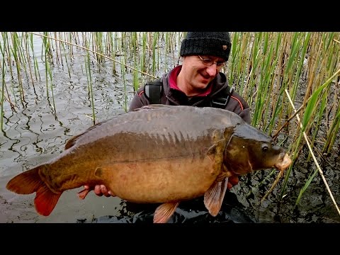 Karpfenangeln für Einsteiger (2): Richtig Anfüttern | LERNE ANGELN