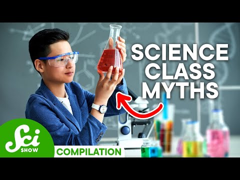 5 Things You Were Taught Wrong in Elementary School | Compilation