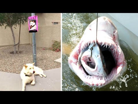 One In a Million Coincidences - Part 4