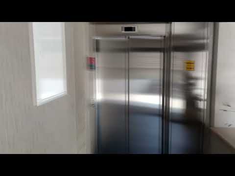 GRANDIS megnyitó 2024.07.13.