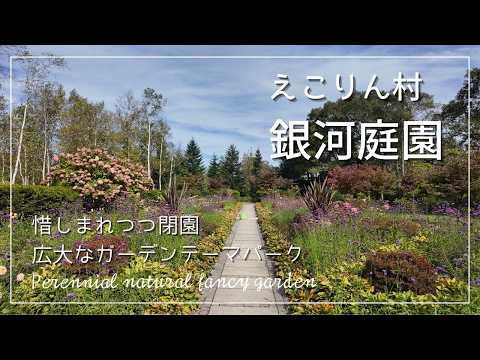 jardin-papillons-thym-plante-fleurs-blanches