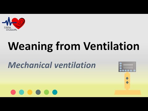 Weaning from ventilator | Mechanical ventilation | Little Criticos