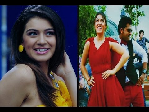 Hansika Wishes Simbu for Great Success in "Vaalu"