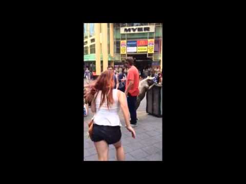 Extreme Koalaing For Ellen