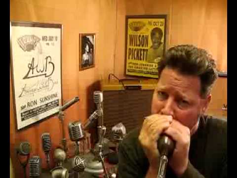 RCA Shure Small Shell Black Controlled Reluctance Bullet Harp Mic