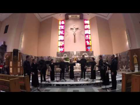 The Marion Consort : Gloria - Giovanni Animuccia