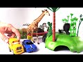 Animales Salvajes Para Niños Vamos Al Zoológico Carros Para Niños