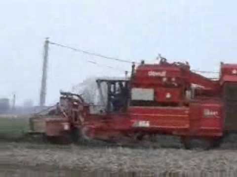 Vanneste P.: Aardappel rooien.