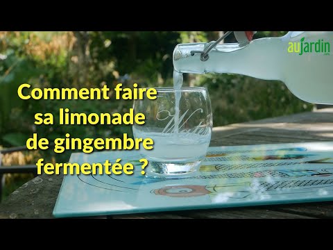 Recette Citronnade pétillante au gingembre