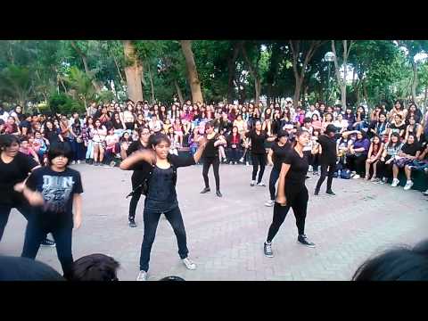 Super Junior  MAMACITA (아야야) cover by Sj Call