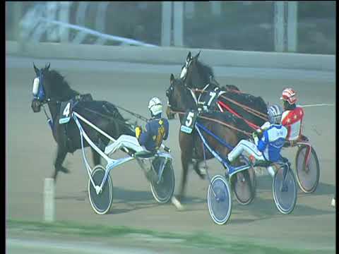 Trotto 29/12/2017  4ª corsa