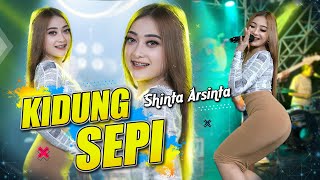 Download lagu Shinta Arsinta - Kidung Sepi | STAR MUSIC mp3