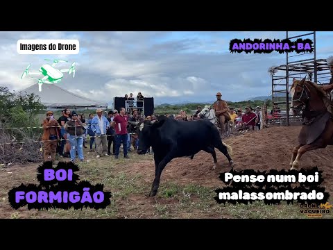 3ª Carreira do Boi Formigão