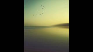 The Echelon Effect - Garden Highway