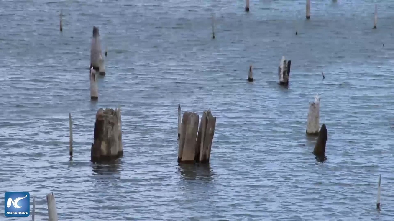 El fenómeno climático El Niño ejerce presión en el tránsito de buques en el Canal de Panamá