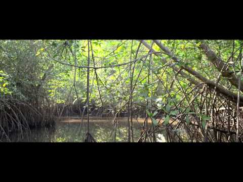 Video-Thumbnail von YouTube