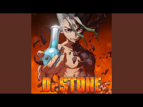 Dr. Stone