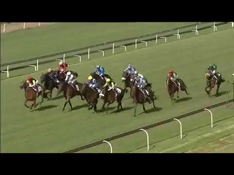 2018.03.03 Gauteng Fillies Guineas (RSA) - Takingthepeace