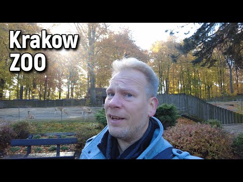 Everything You Can See at Krakow Zoo